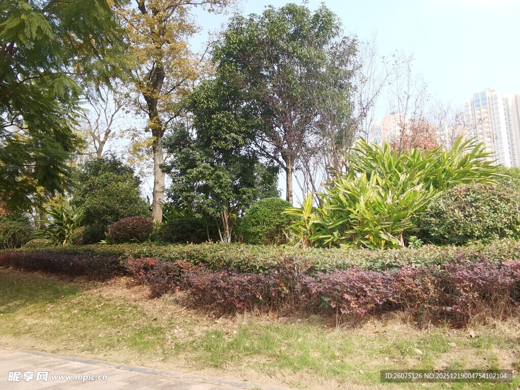 公园绿植景观