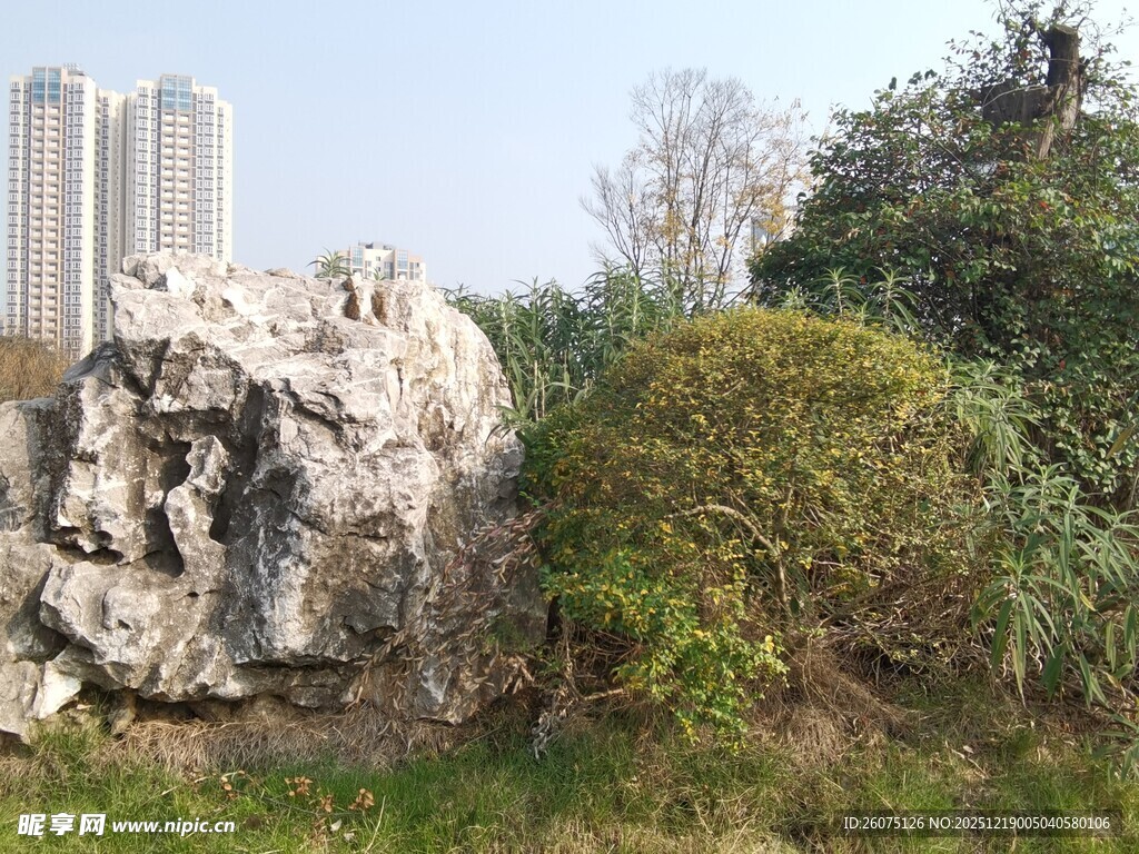 户外巨石与绿植景观