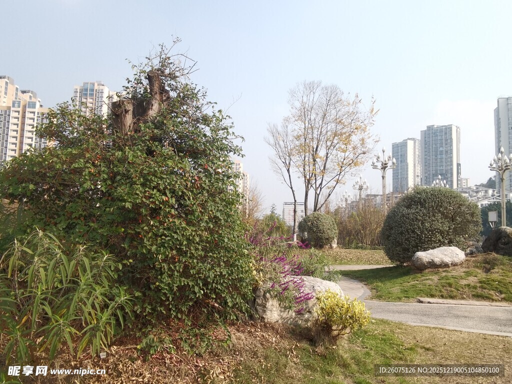 城市中的自然风景一角