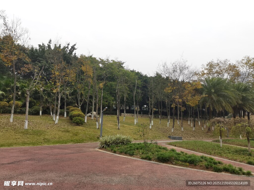 公园户外风景