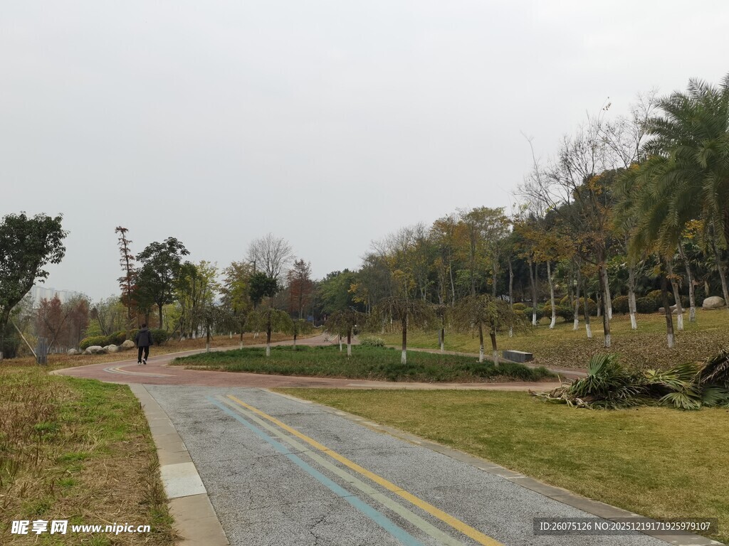 郊外宽阔柏油道路风景