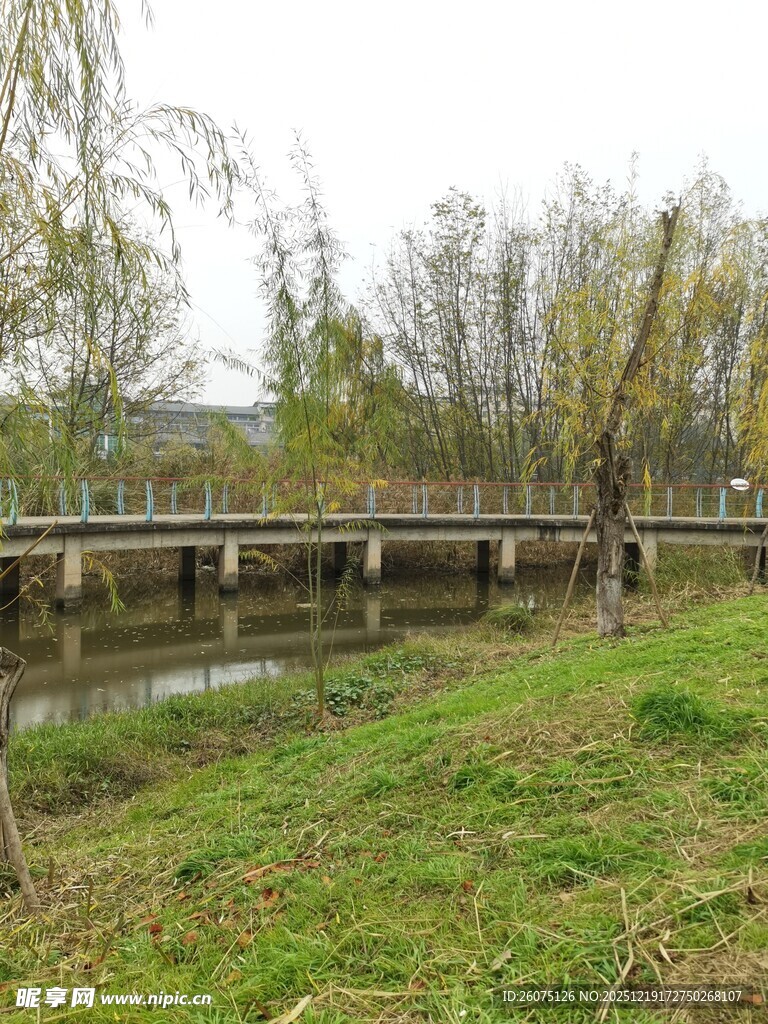 河畔草地与桥的自然景致