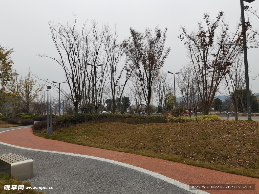 城市公园中的蜿蜒步道