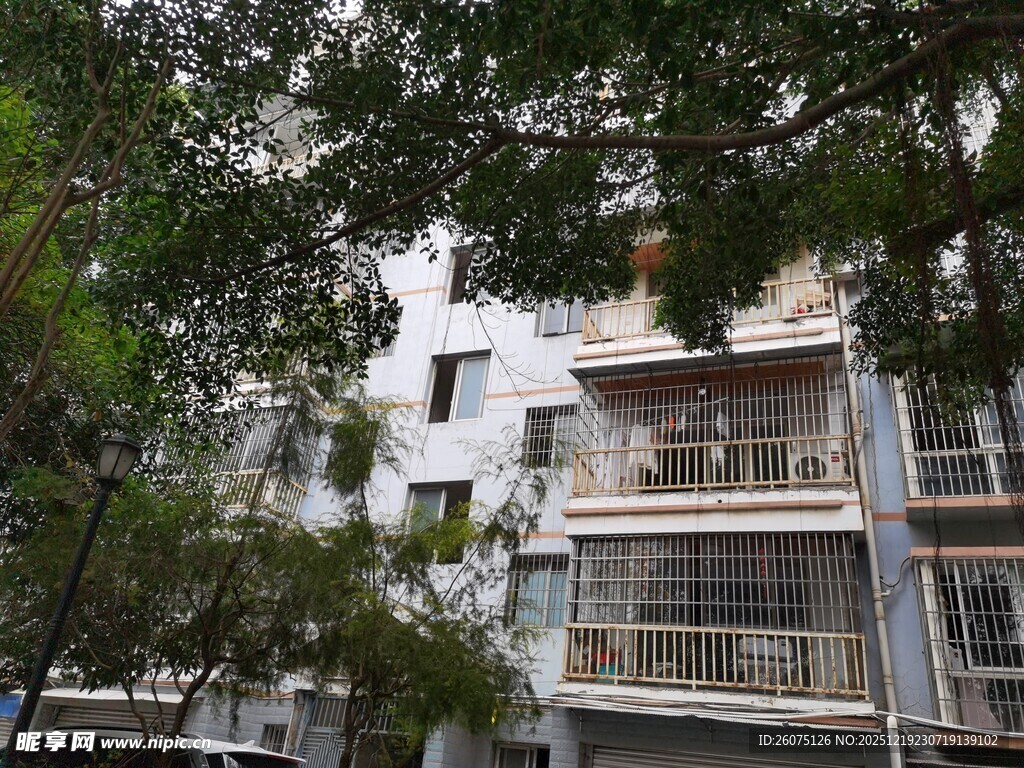 绿树掩映下的现代住宅