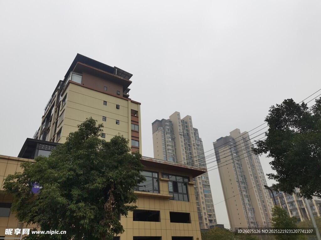 城市中高楼与绿树相映