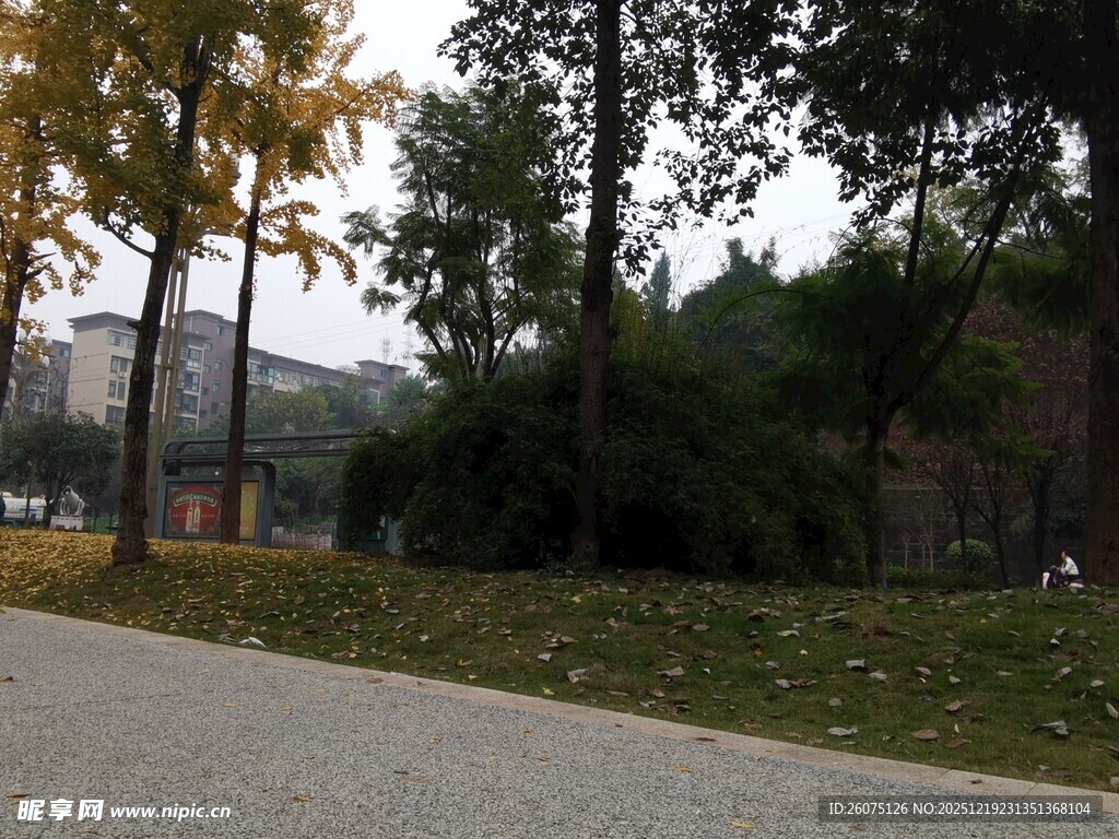 城市公园中的静谧小路