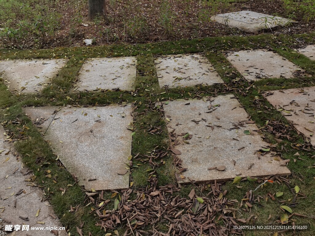 石板小径草间自然景致