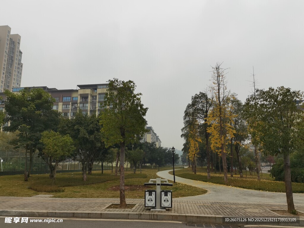 城市公园中的休闲场景