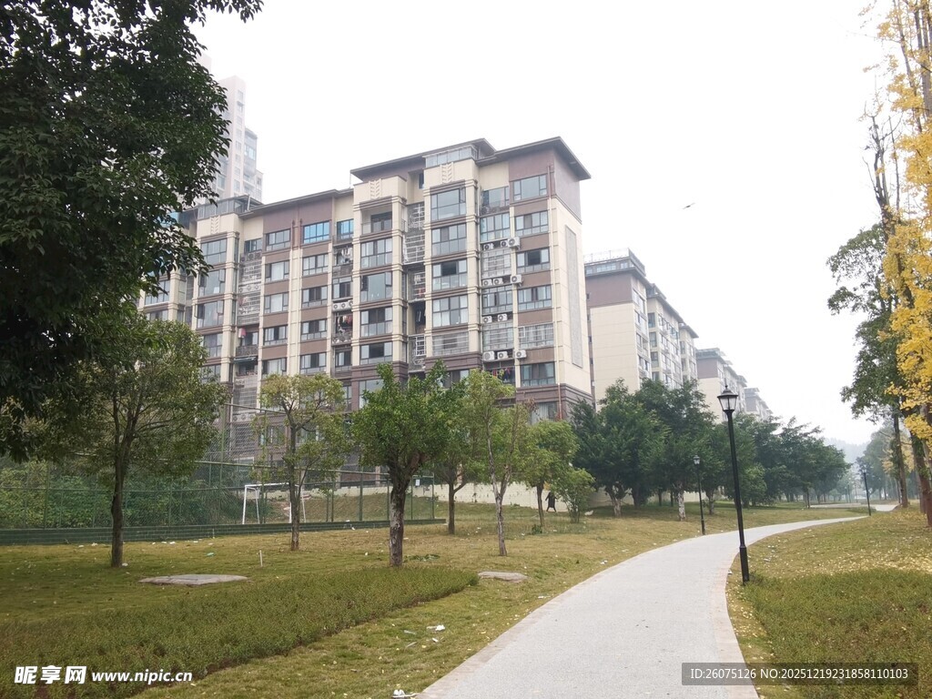 小区旁的林荫小道与建筑