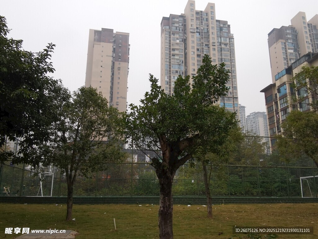 城市公园与高楼景观