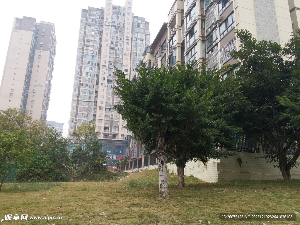 城市住宅区的绿化景观