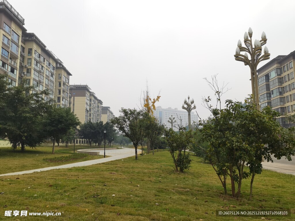 小区内的绿化景观