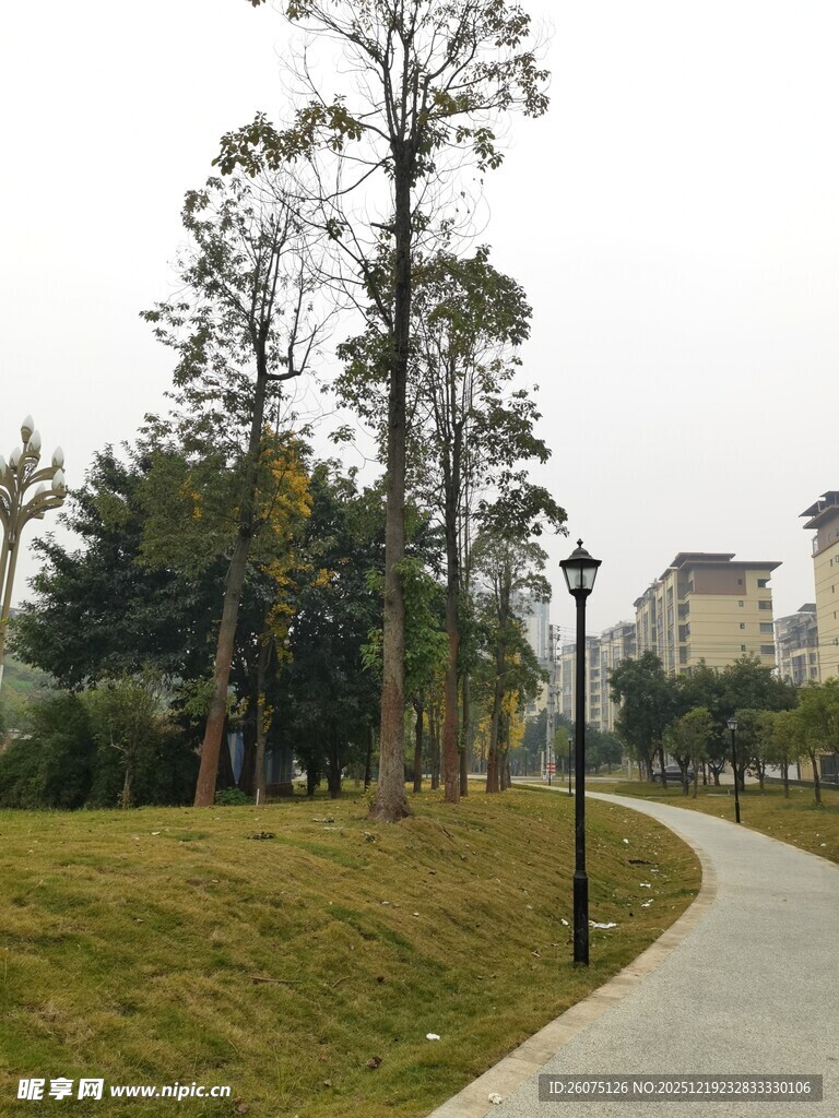 公园中的蜿蜒小路