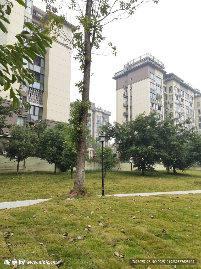 小区内的绿化景观