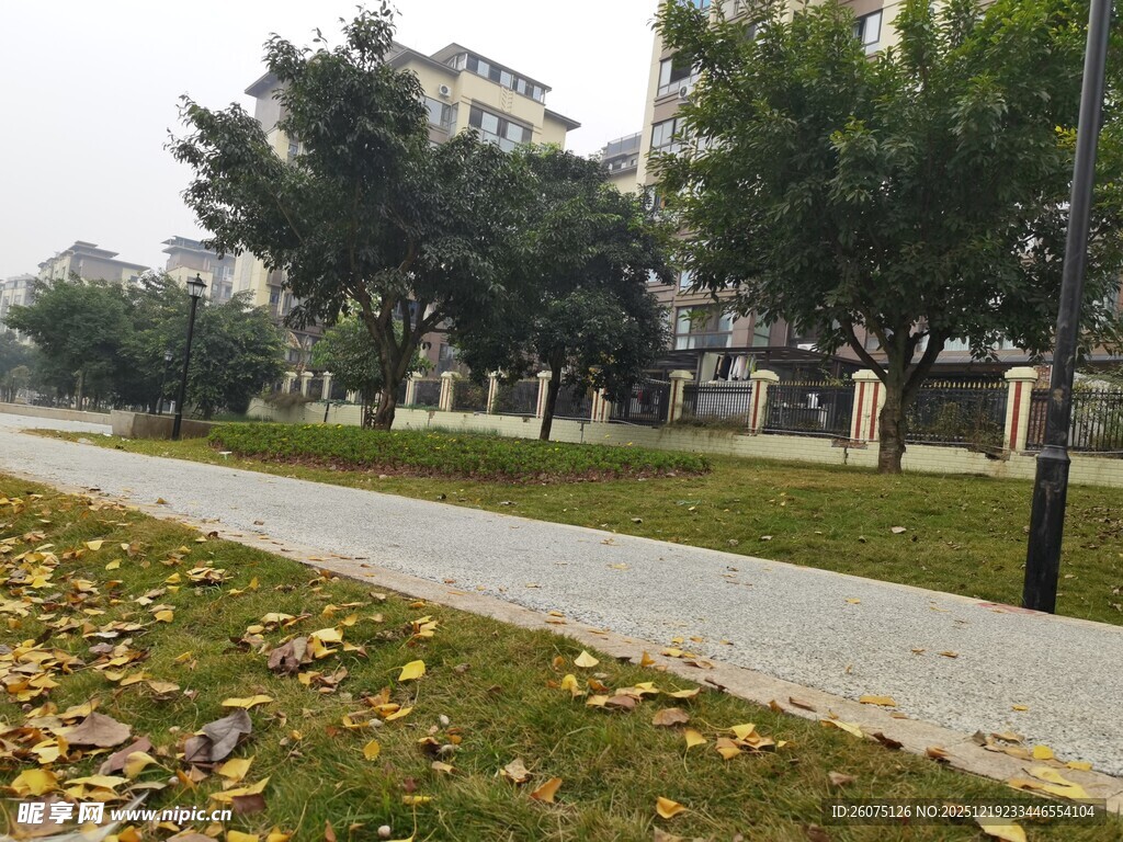 秋日校园小径风景