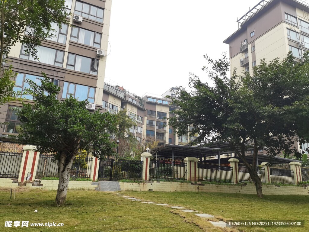 小区内的绿化景观