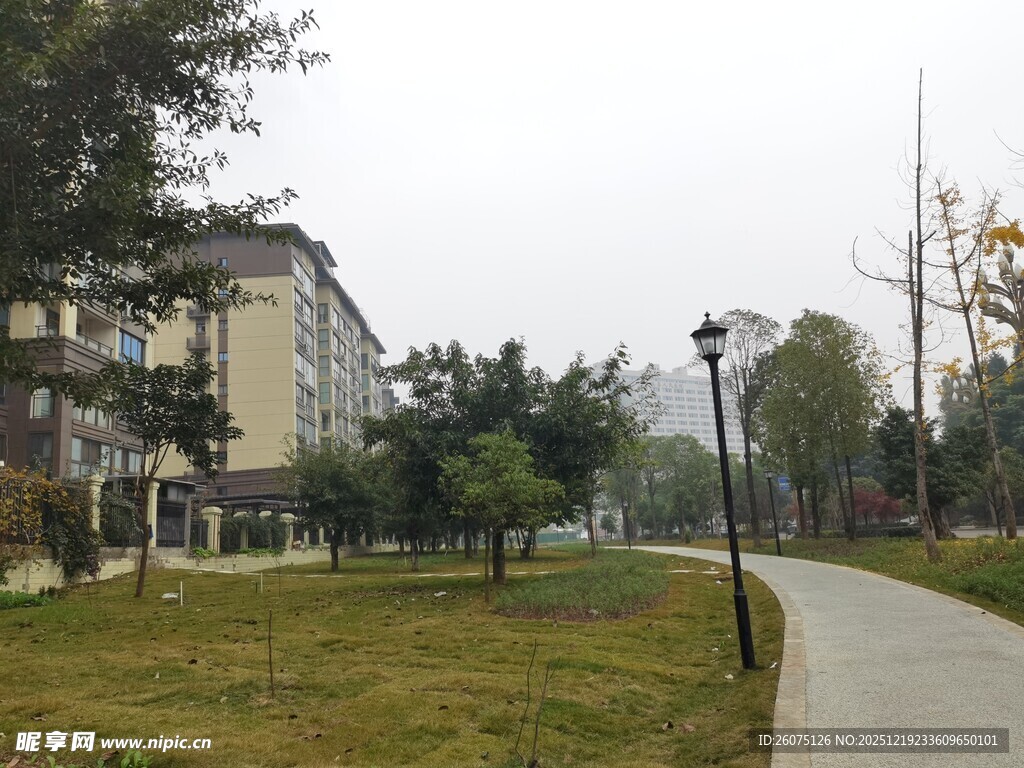 校园小径旁的绿植与建筑