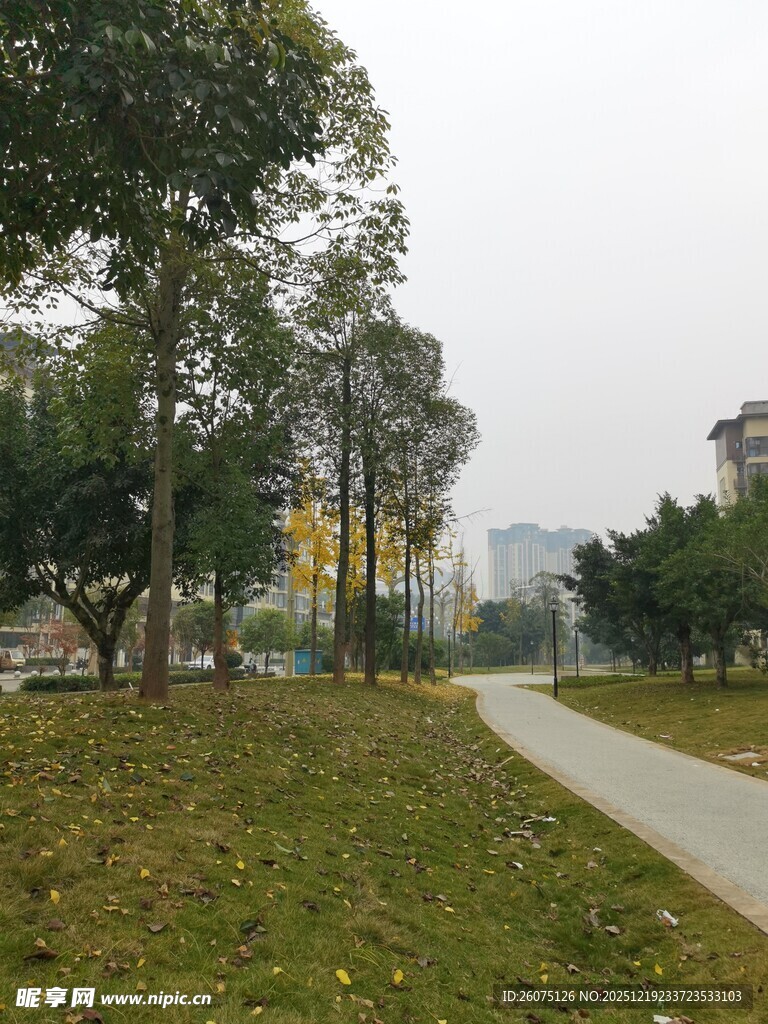 城市公园中的宁静小路