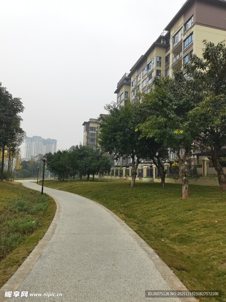 城市中的幽静林荫小道