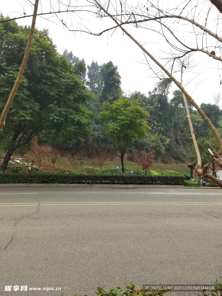 户外空旷场地与周边树林