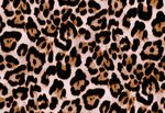 豹纹图案布料纹理