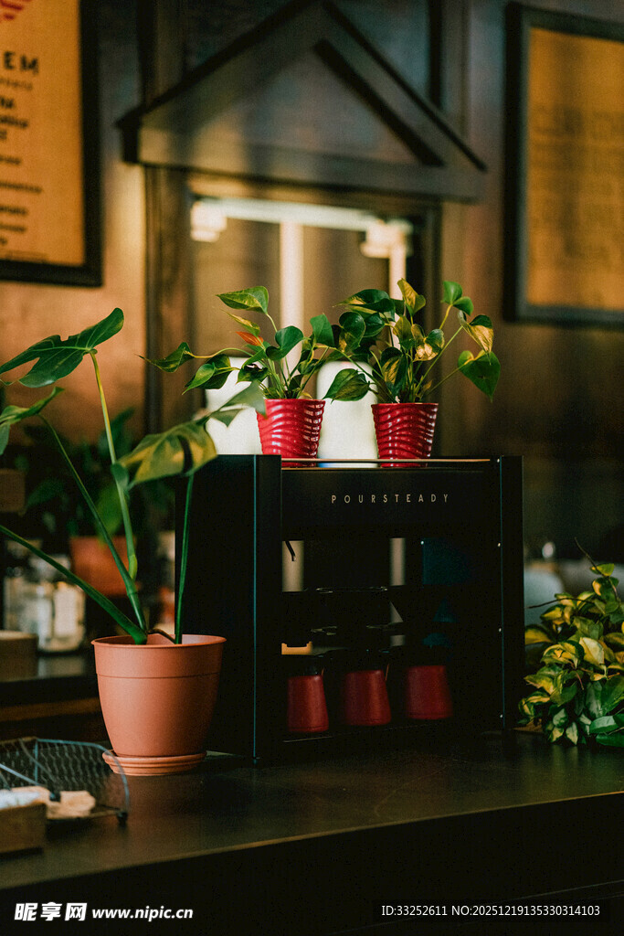 吧台绿植装饰 清新小景