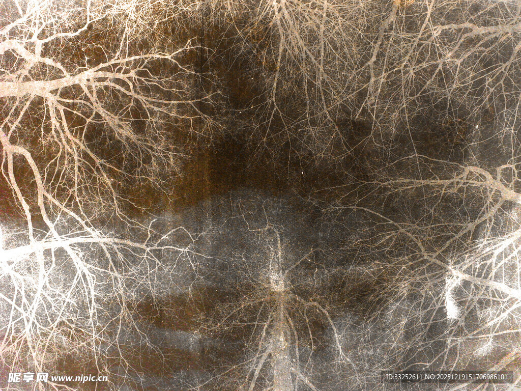 动物毛发纹理特写