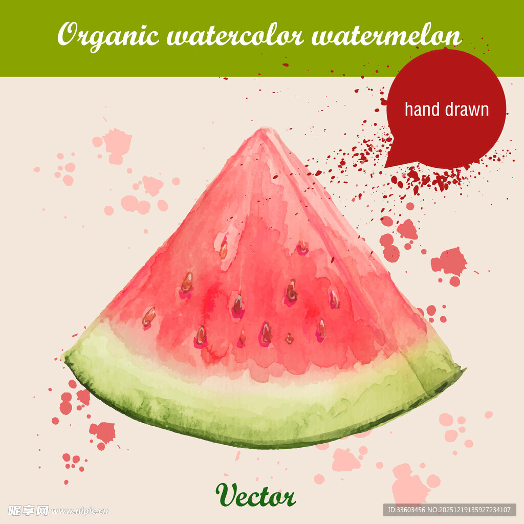 水彩绘西瓜切片