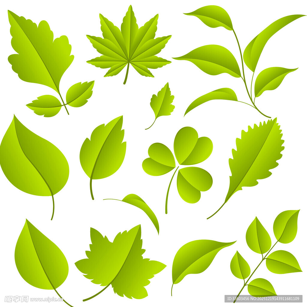 多样绿色叶片矢量素材