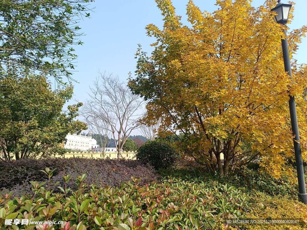 秋日公园多彩景致