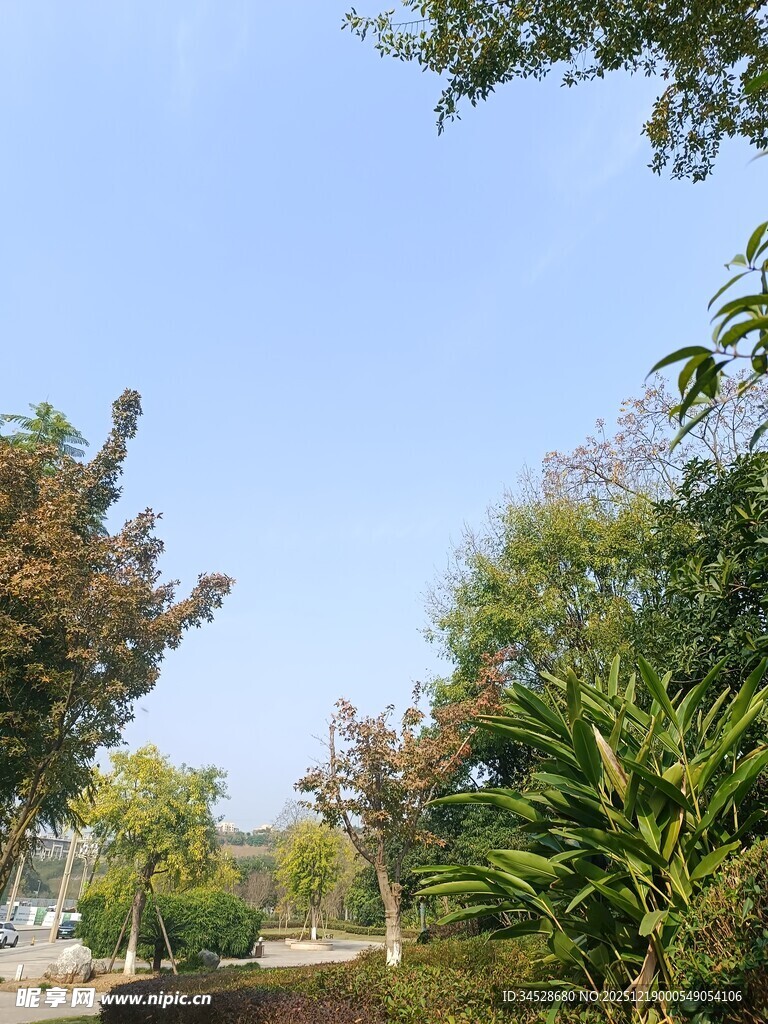 户外绿意盎然的自然景致