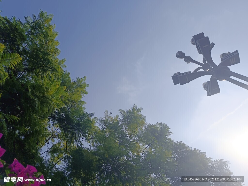 蓝天绿树间的风车装置