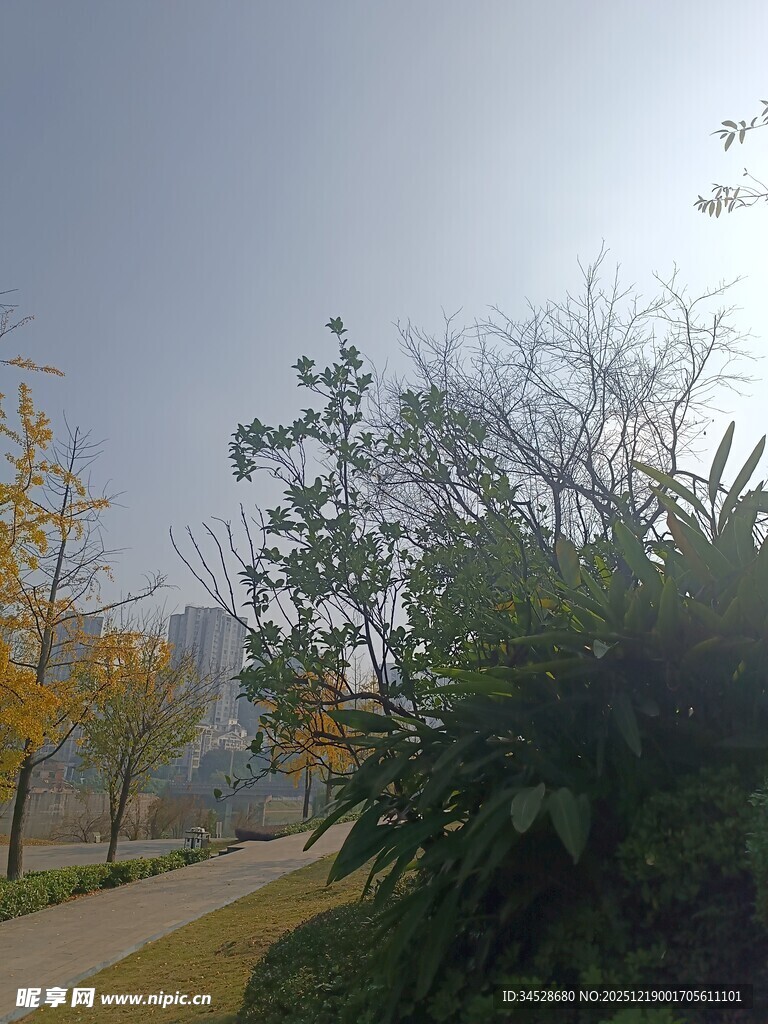 秋日公园小路风景