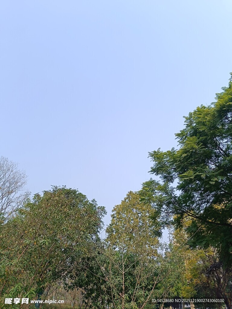 蓝天绿树自然风景图