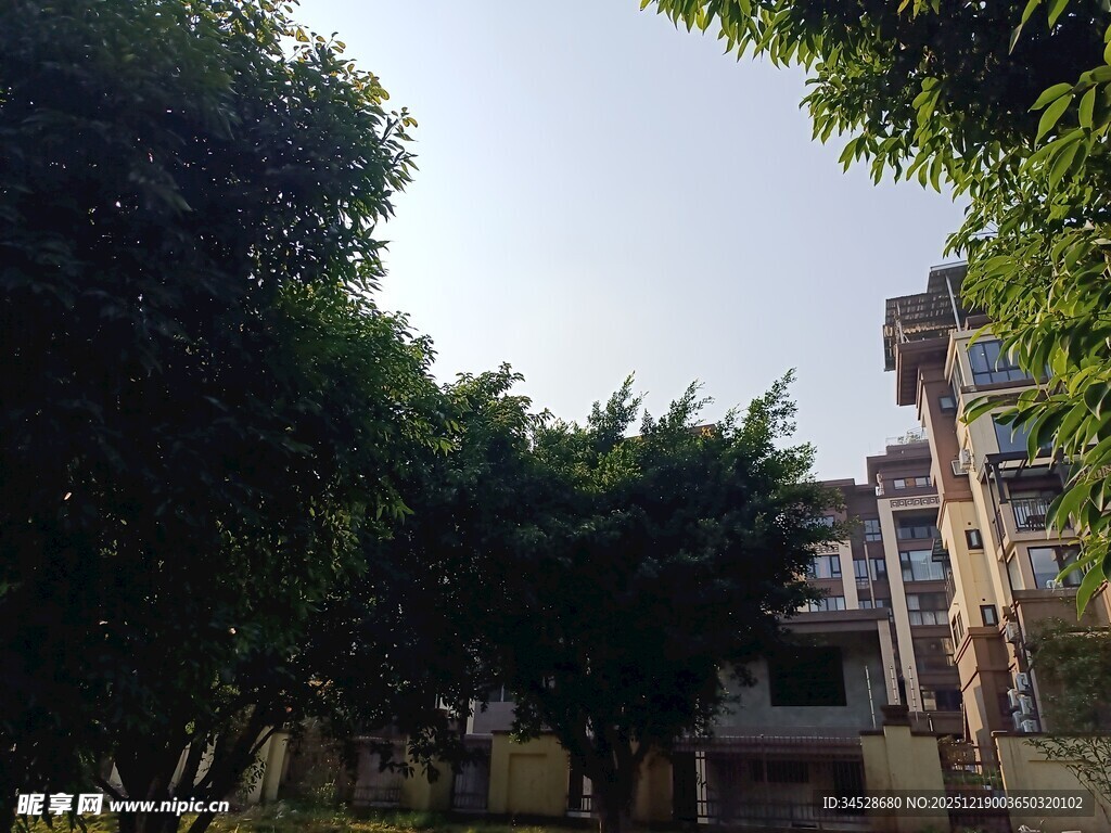 绿树环绕的居民楼