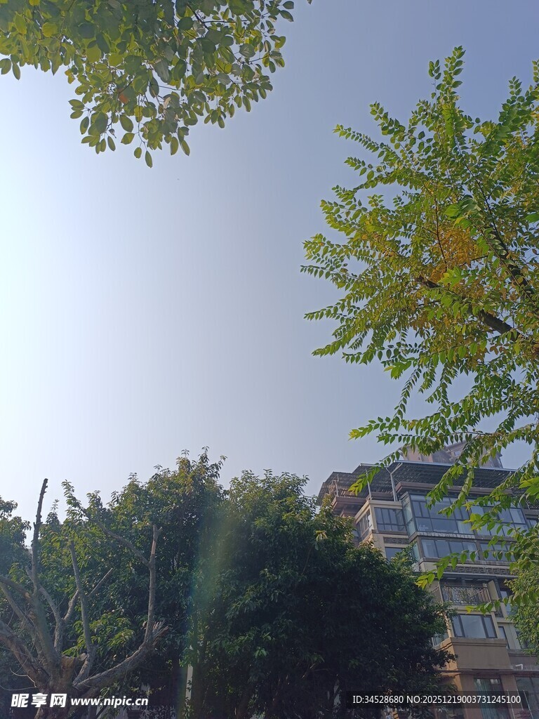 绿树掩映下的建筑一角