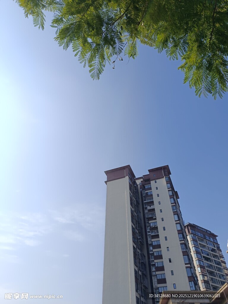 高层住宅与绿树蓝天