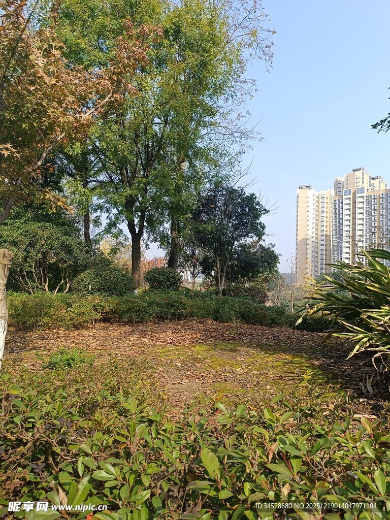 城市中的静谧绿植景观