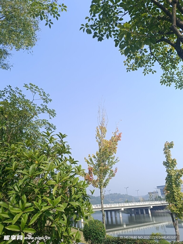 绿树蓝天间的清新景致