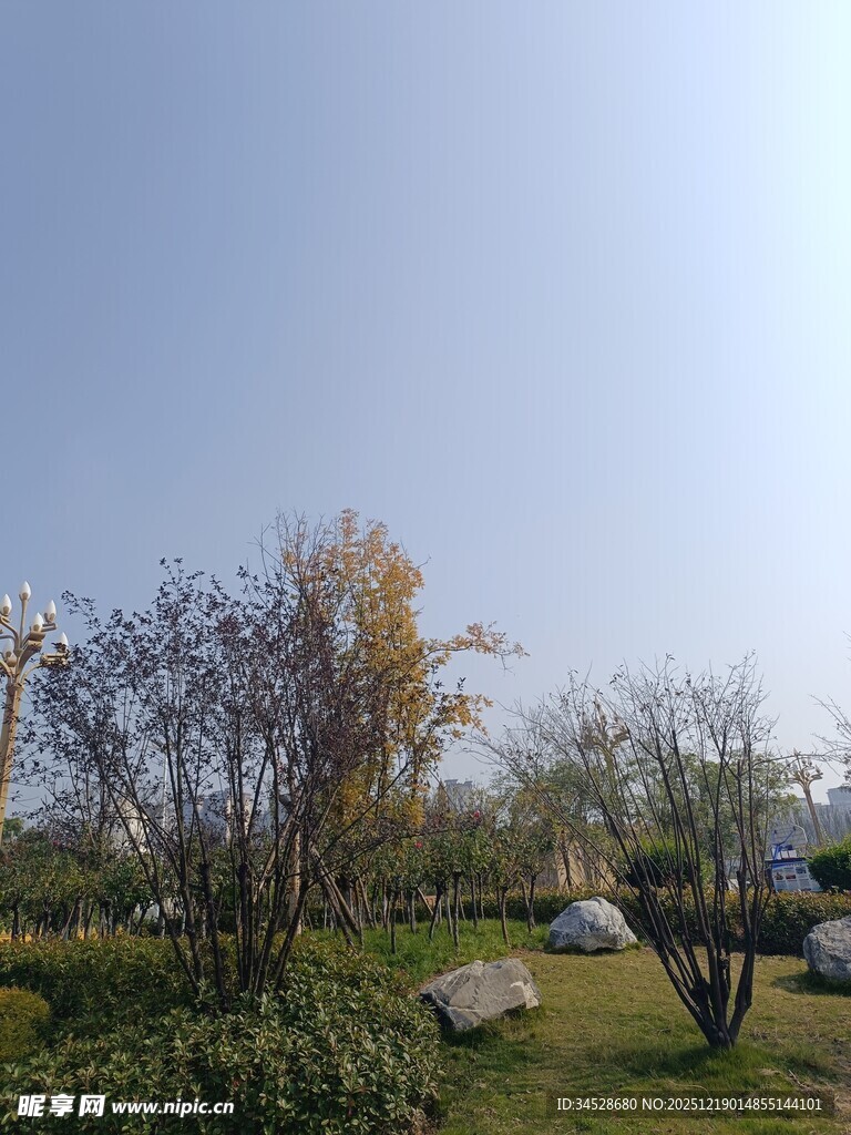 户外自然景观中的绿植与石景