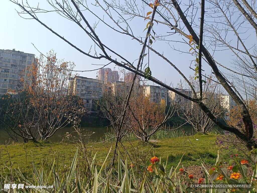 城郊冬日公园景致