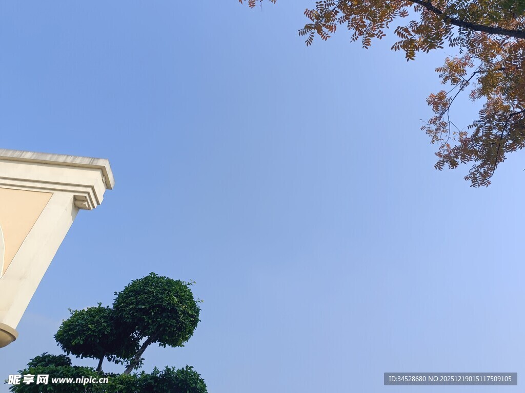 蓝天绿树旁的建筑一角