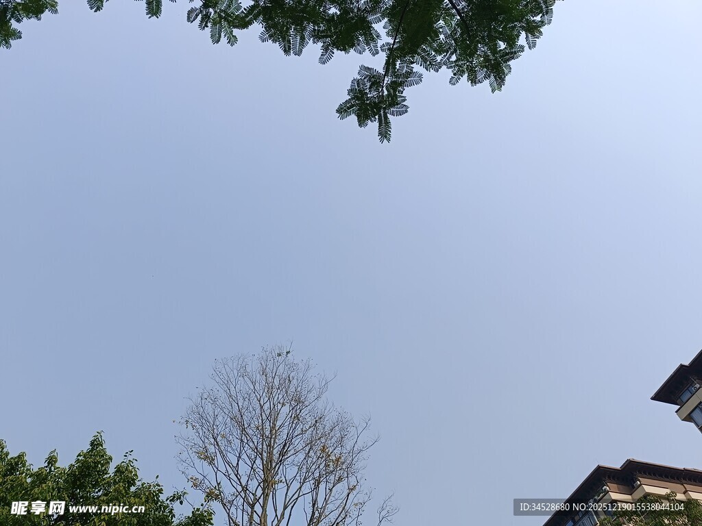 蓝天绿树旁的古朴建筑