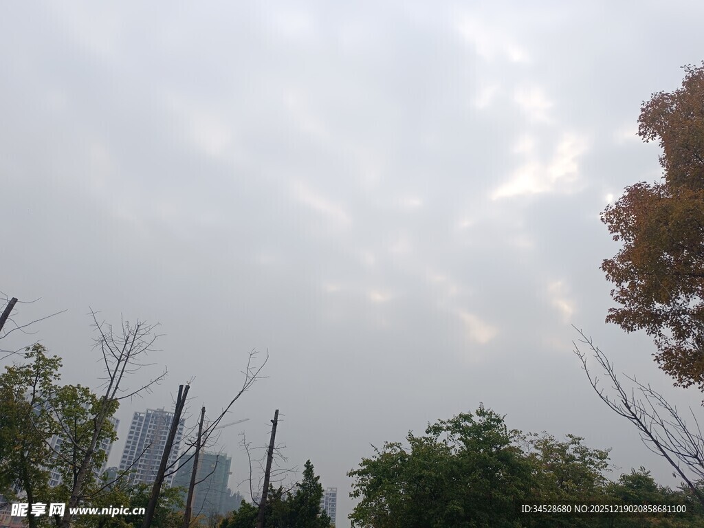 城市天际线与绿植景观