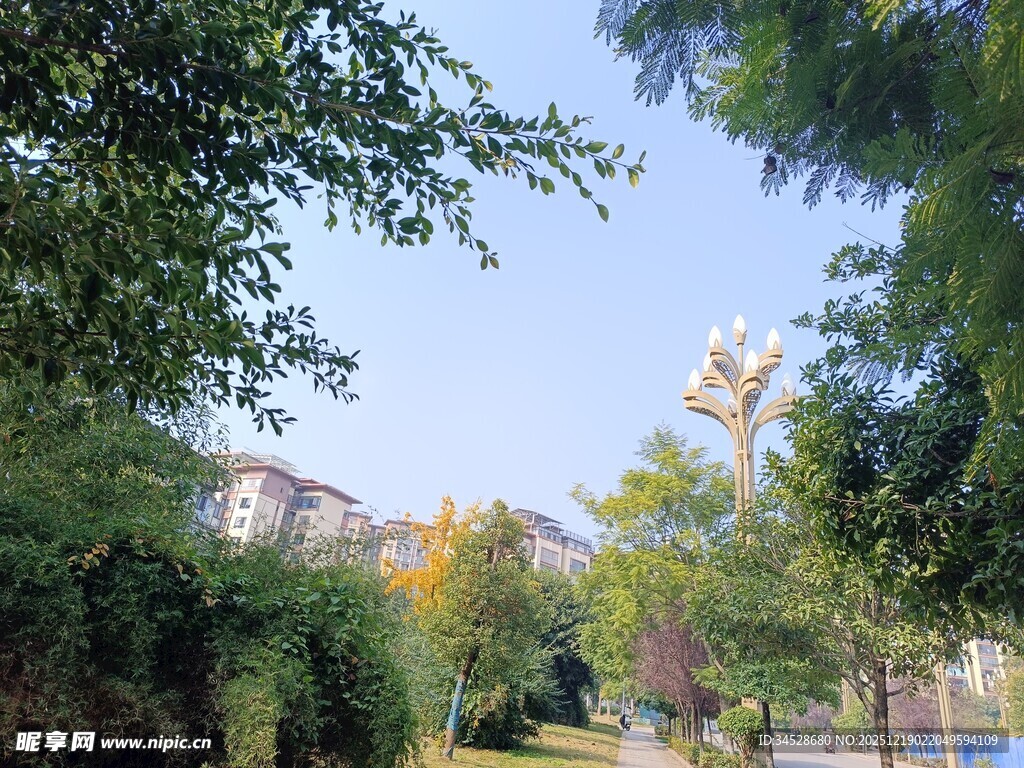 小区内的绿意盎然景致