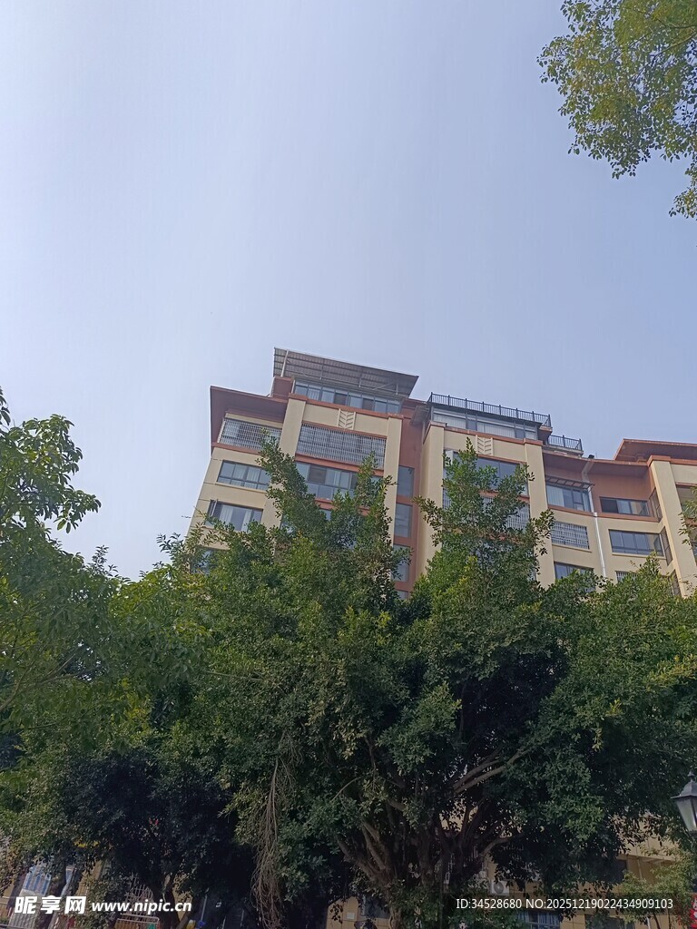 绿树环绕的多层居民楼