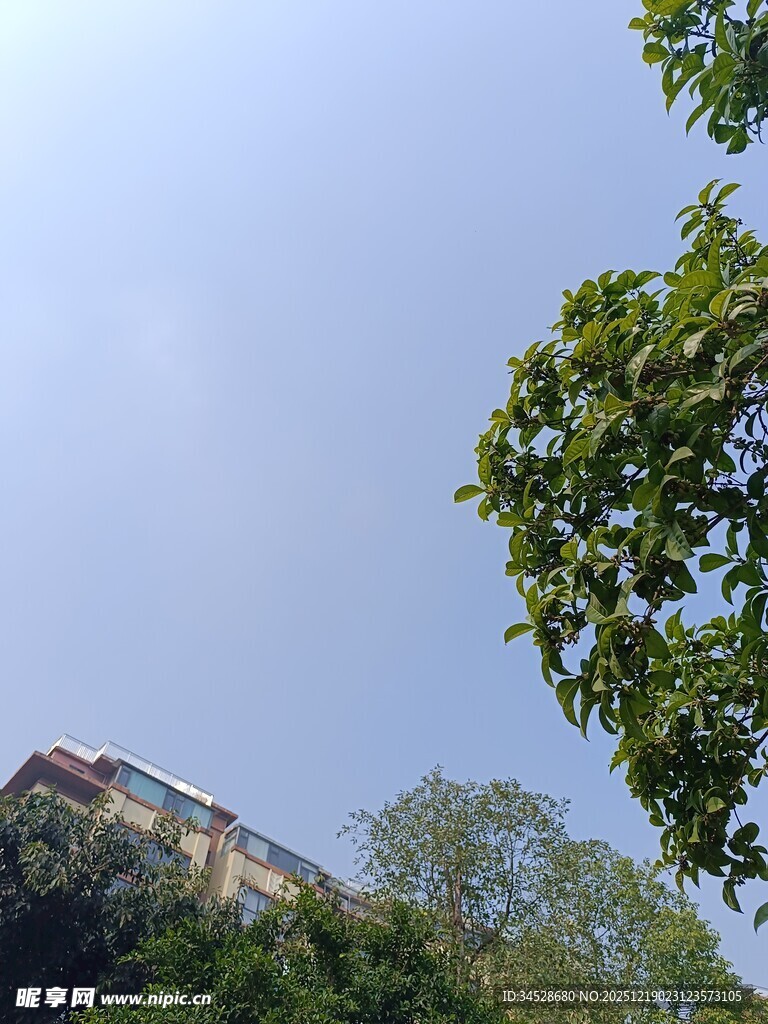 绿树掩映下的建筑一角