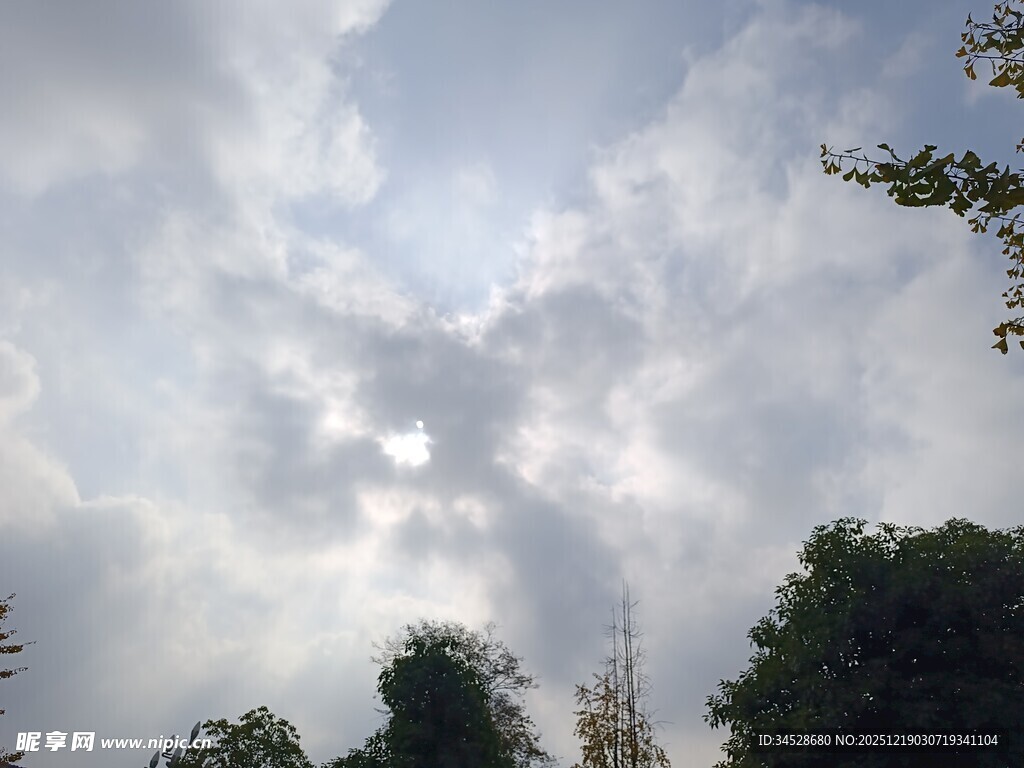 天空中云朵与树木的景致