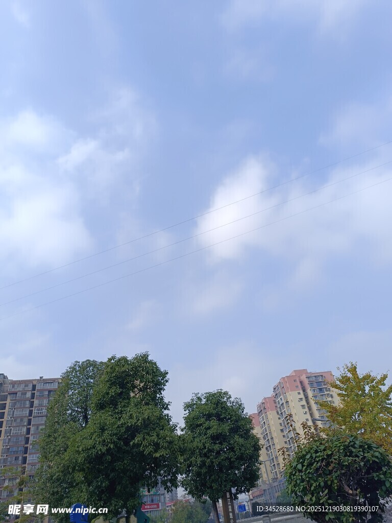 城市蓝天绿树旁的建筑群