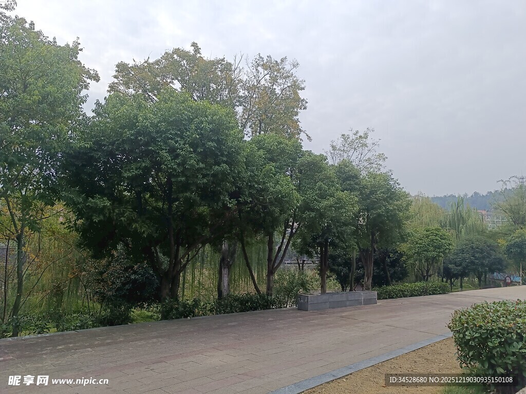 林间清幽道路景观